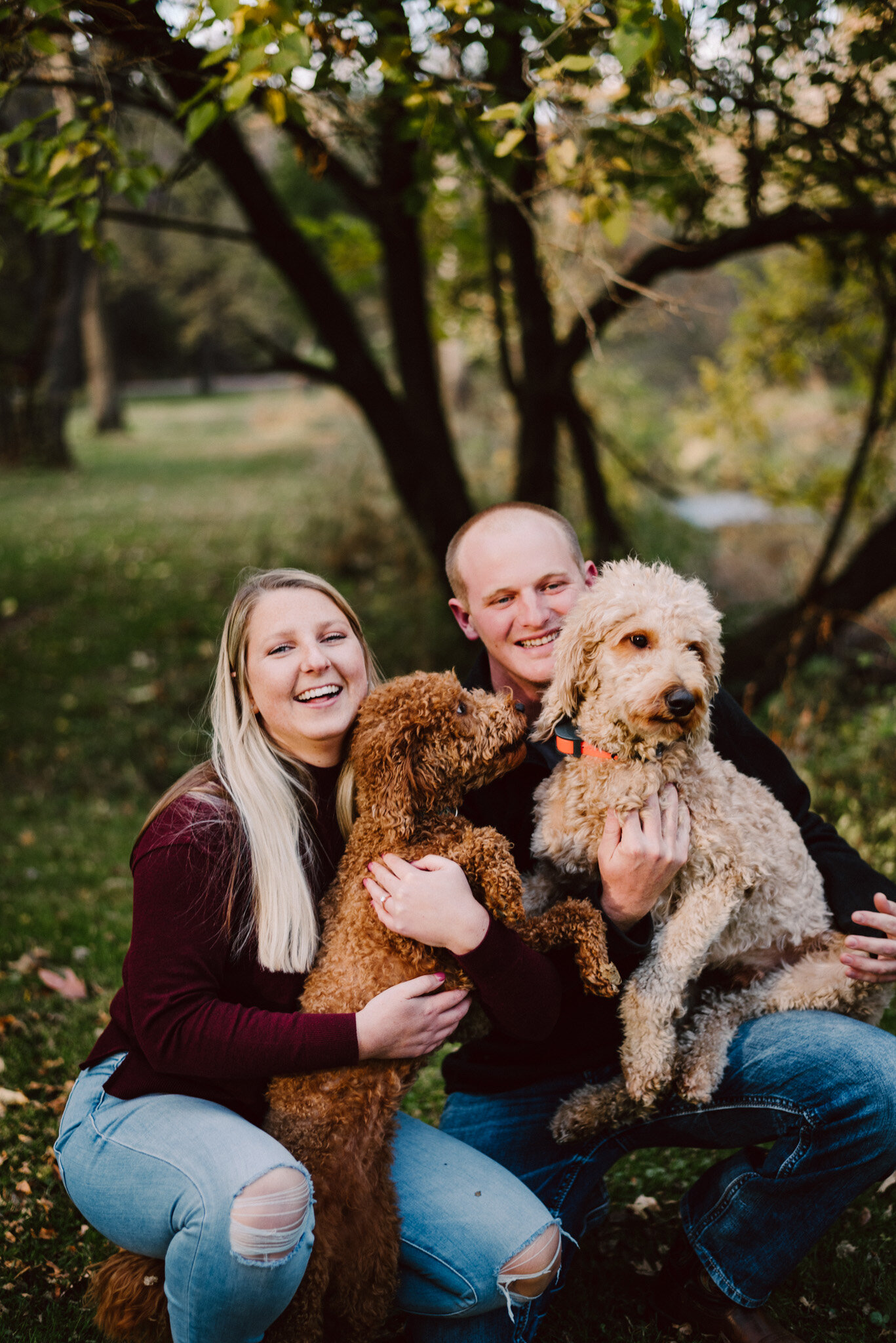 Top 5 Tips For Your Session With The Fur Babes - Iowa Wedding Photographer