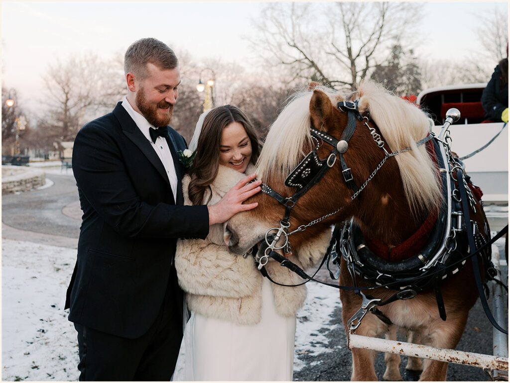 A bride and groom pet a horse's nose in an Iowa park.