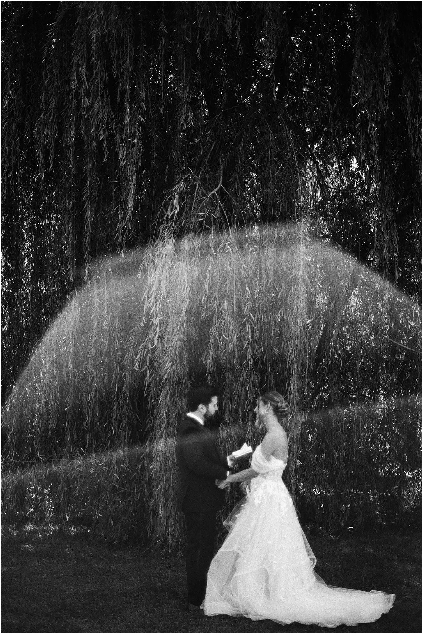 A bride and groom read their vows beside a willow tree outside Wilson's Ciderhouse in Iowa City.